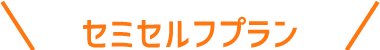セミセルフプラン